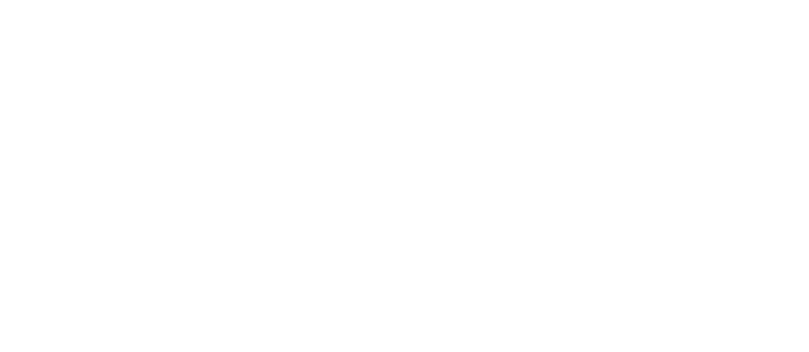 REISA logo